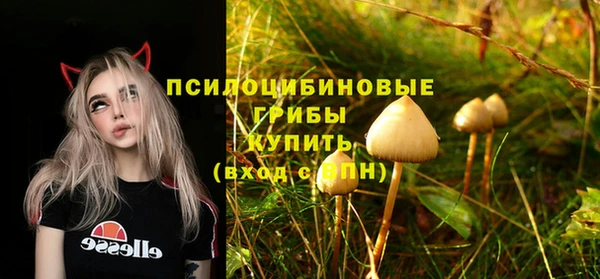 амф Белоозёрский