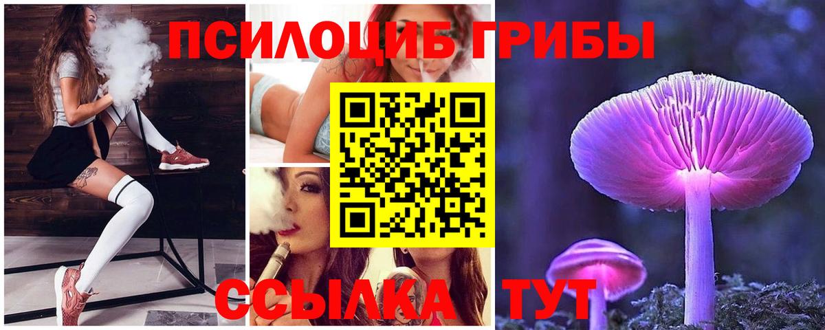 Псилоцибиновые грибы прущие грибы  Вход с VPN  Новый Уренгой 